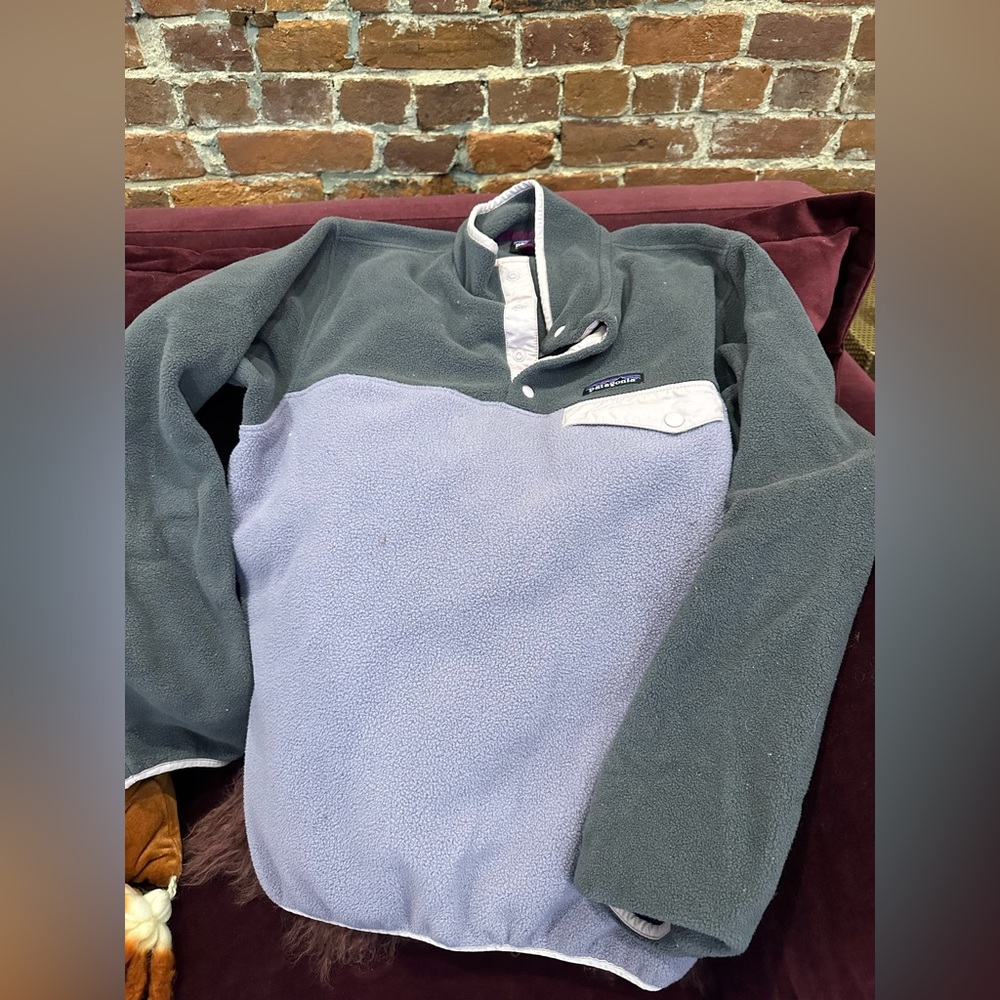 Patagonia Synchilla size medium